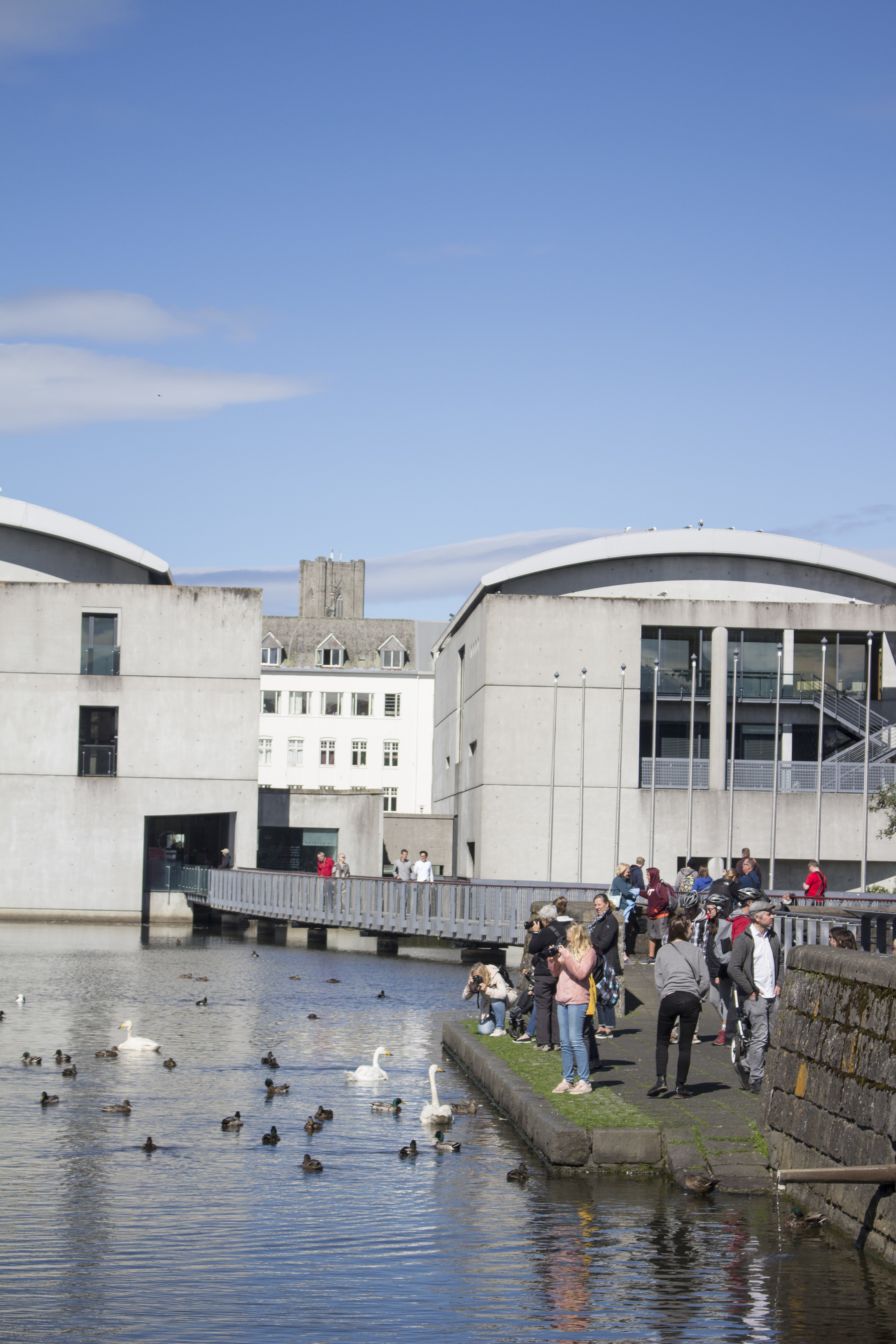 Who enjoys the sun more, people or ducks?