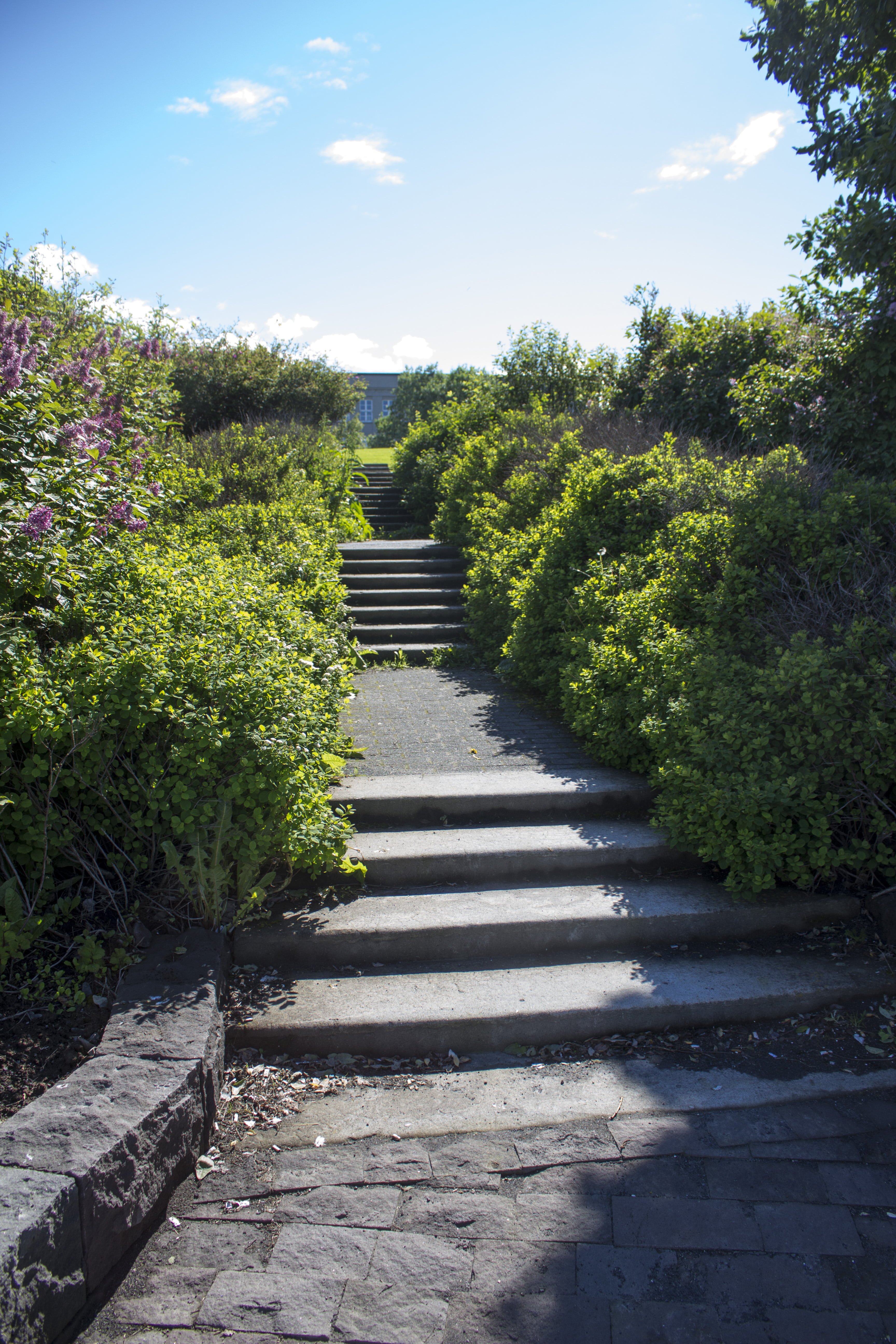 Steps towards your first Icelandic sunburn.