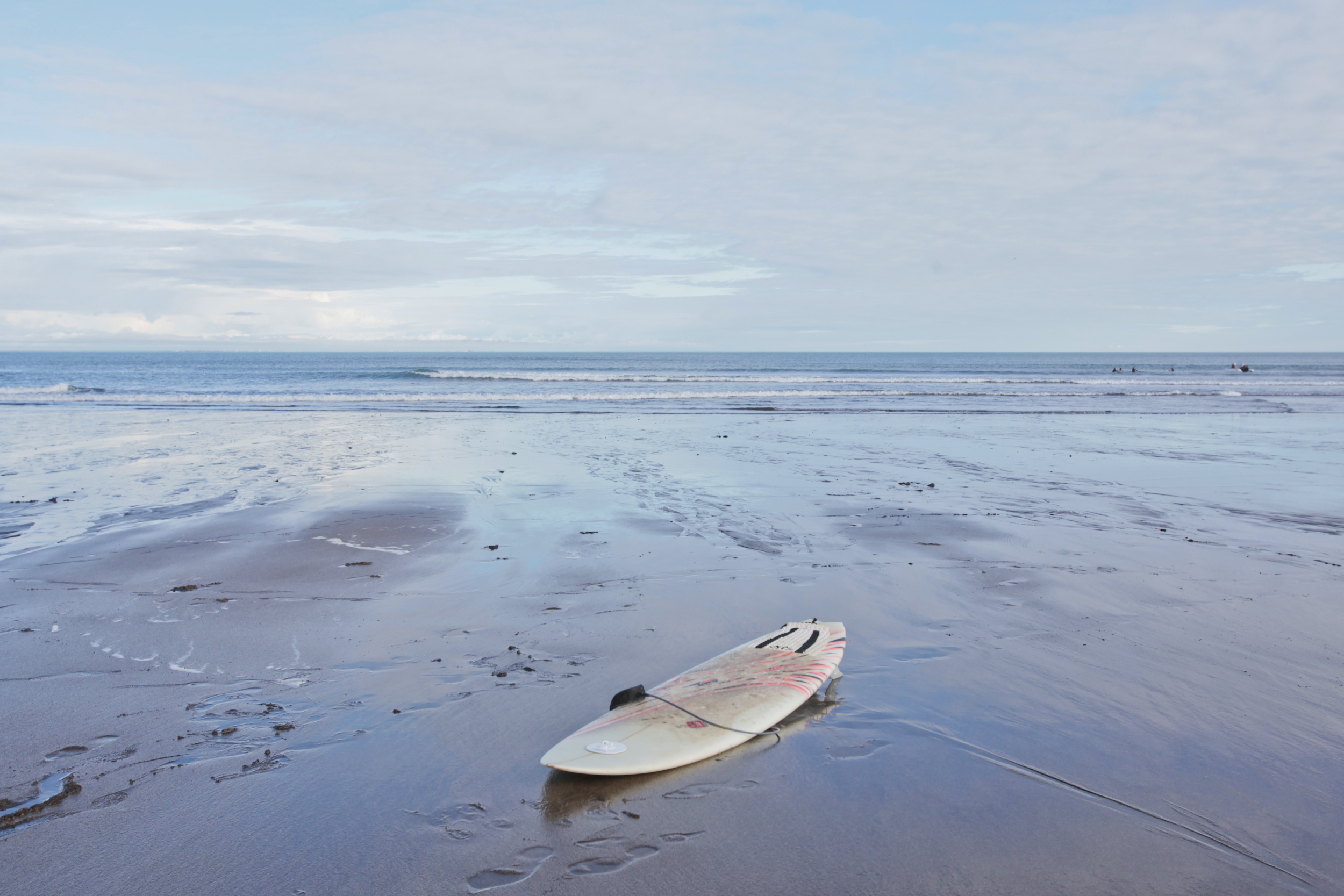 Surfing Iceland Alísa