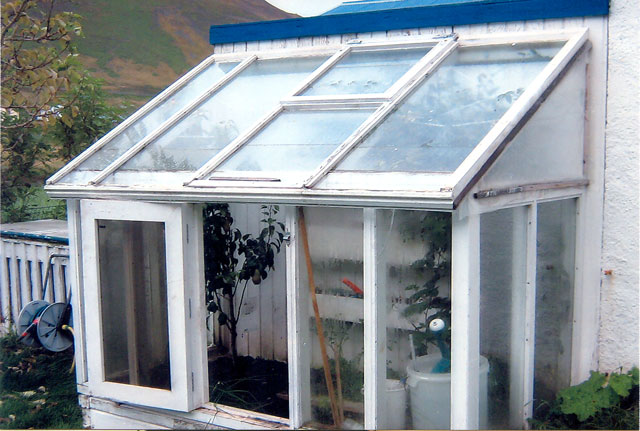 Sigurður's greenhouse, courtesy of BB.is
