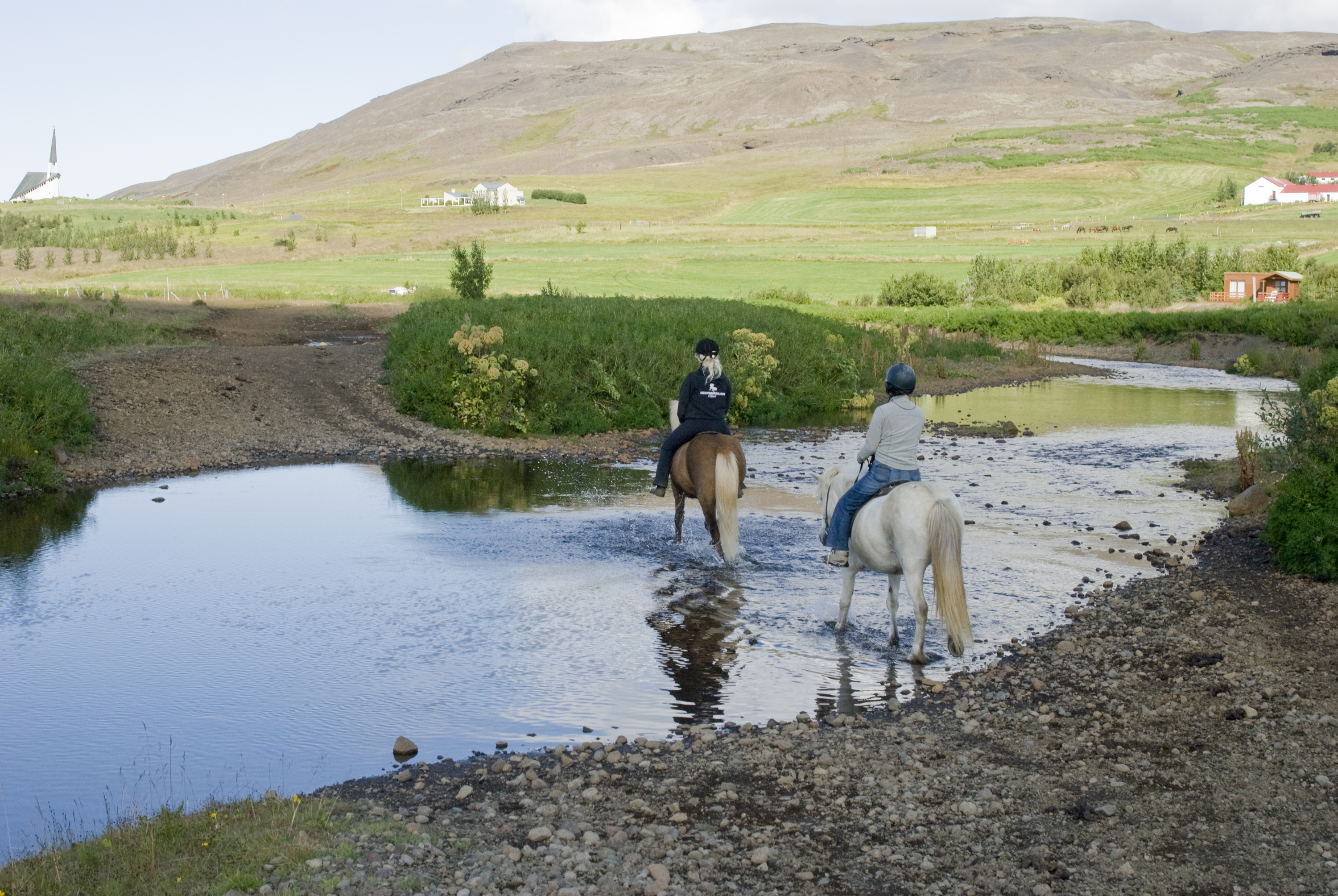 Laxnes Horse Farm by Julia Staples