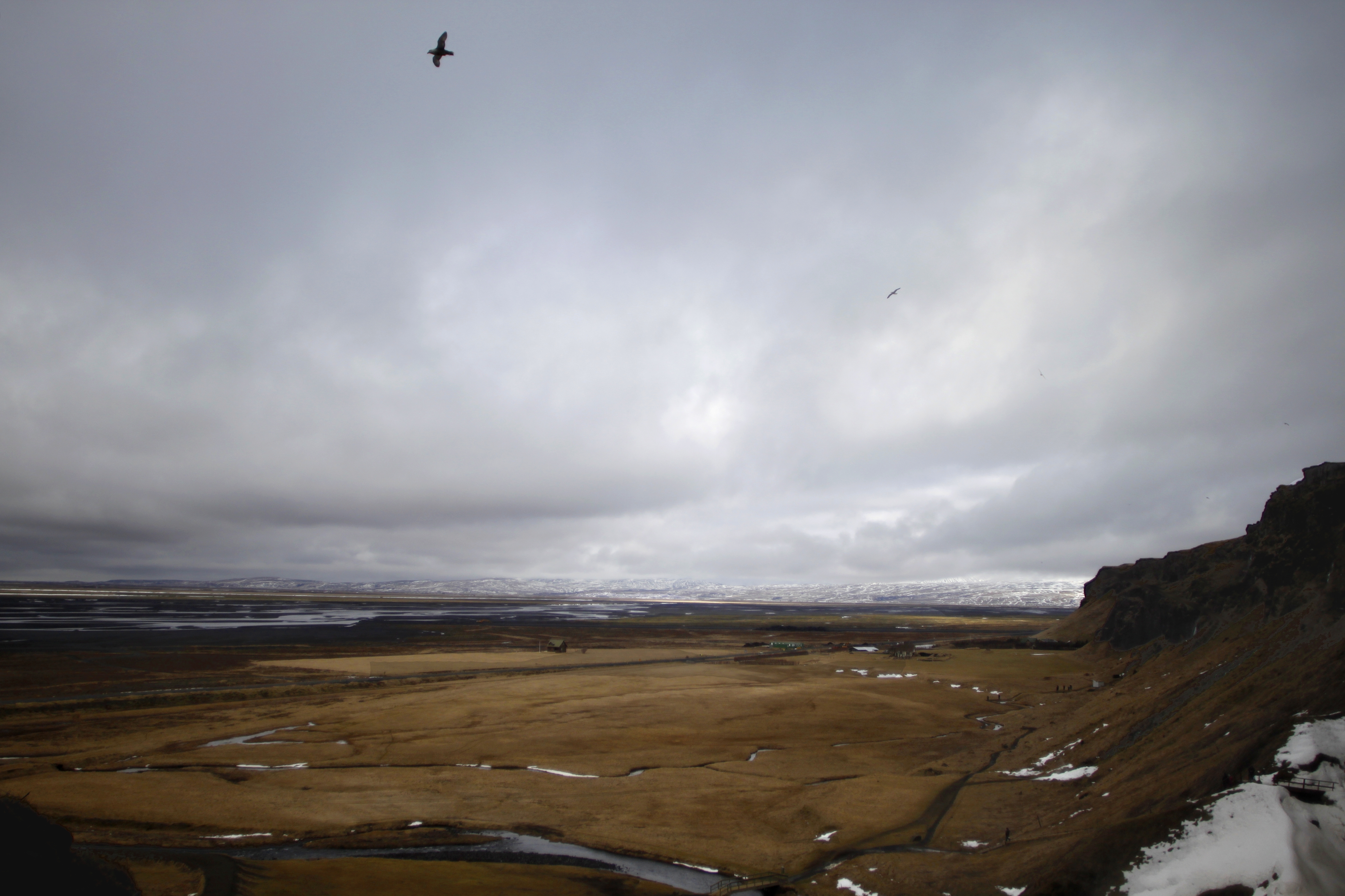 Vík road trip by Vanessa Schipani