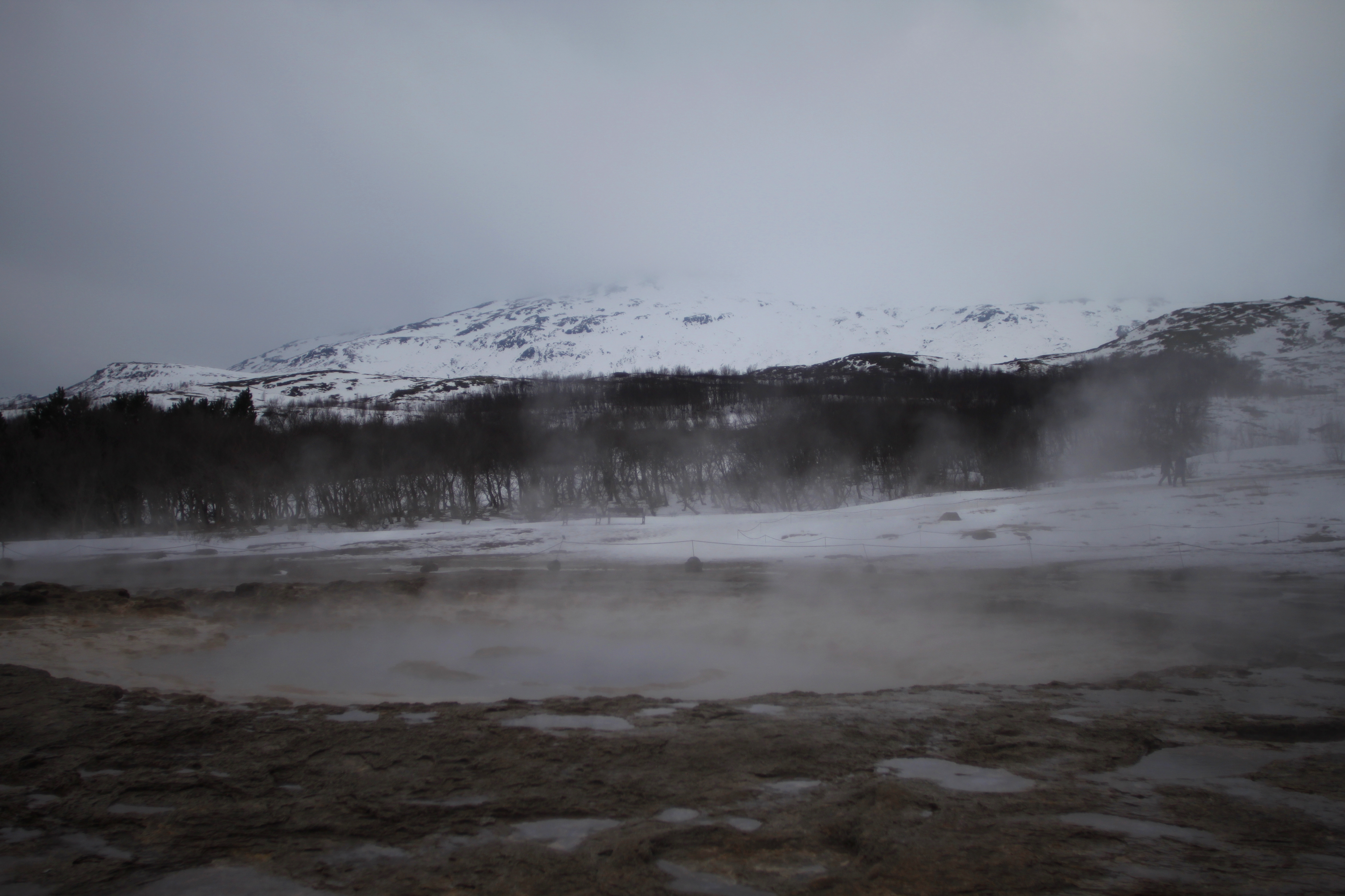 Geysir by Vanessa Schipani