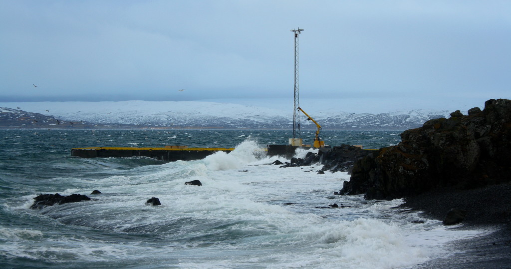 Winters can be tough