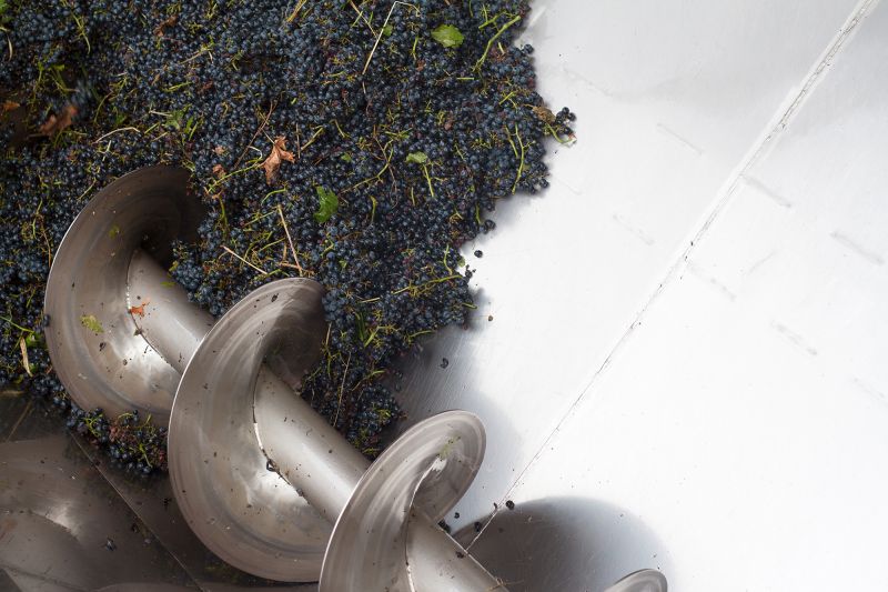 Grape Processing Grapeworks Tanium Machinerygrapeworks Tanium - Premium Abstract Texture - 8K