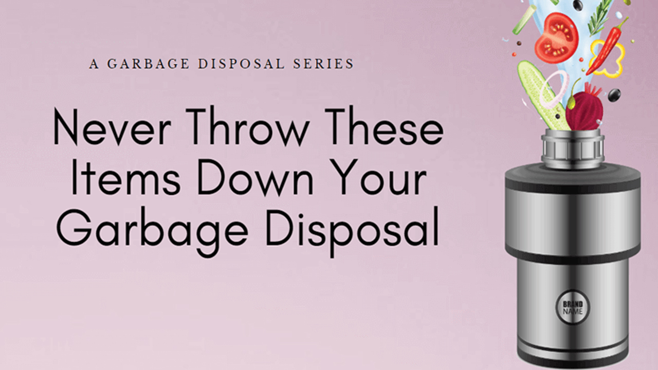 13 Foods You Must Never Throw into a Garbage Disposal Unit Infographic
