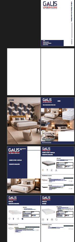 Catalogue Galis