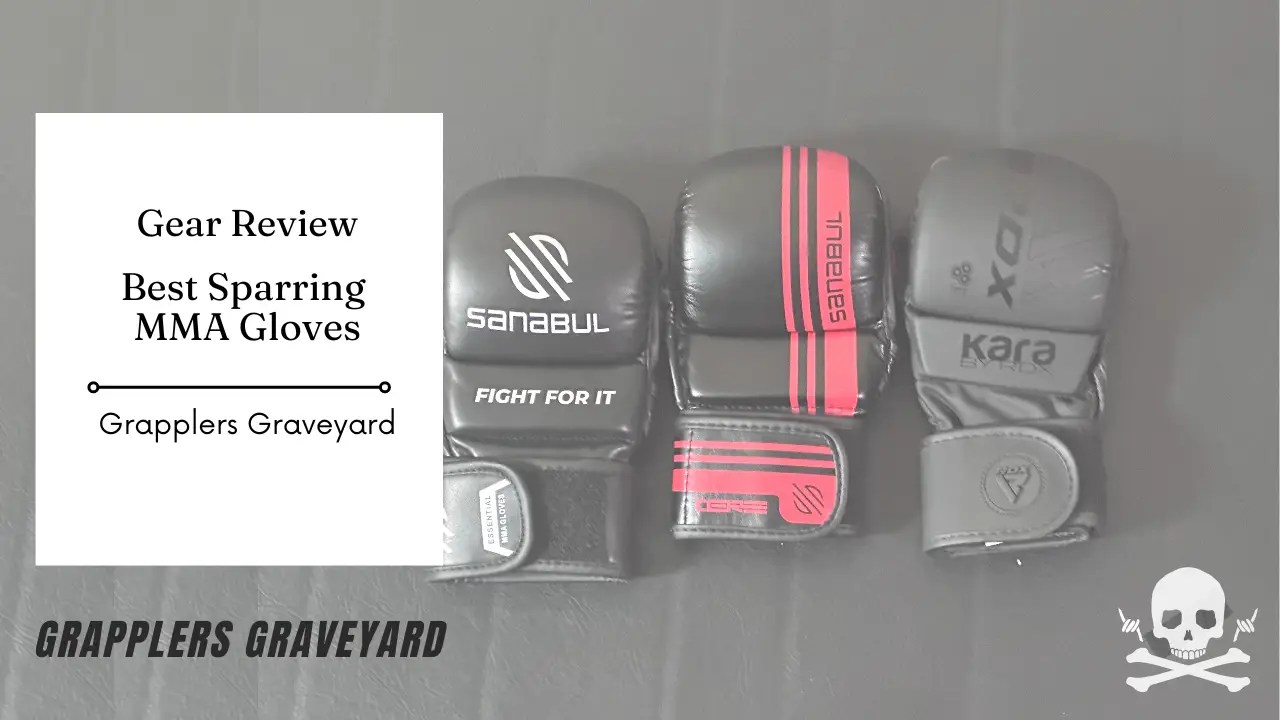 mma sparring gloves
