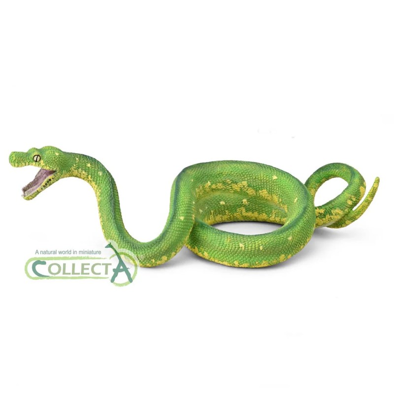 Collecta Green Tree Python 88962 Stunning Green Paint - HD Nature Images for Desktop