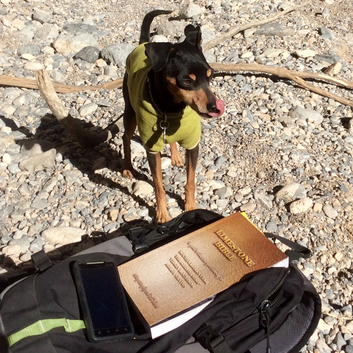 Frankie likes the same bible we do.