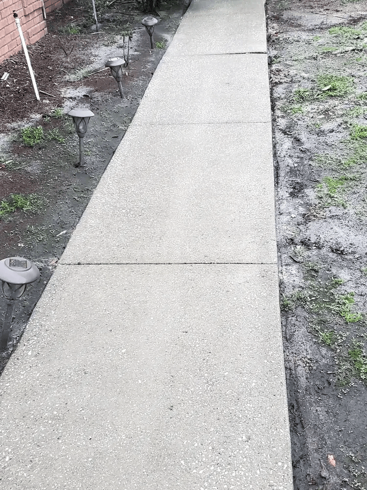 Concrete walkway after cleaning by Gravity Wave