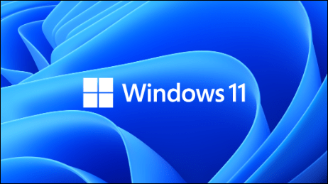 Window 11 logo