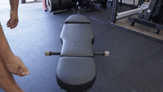 WideBodyBench SideToSide GIF