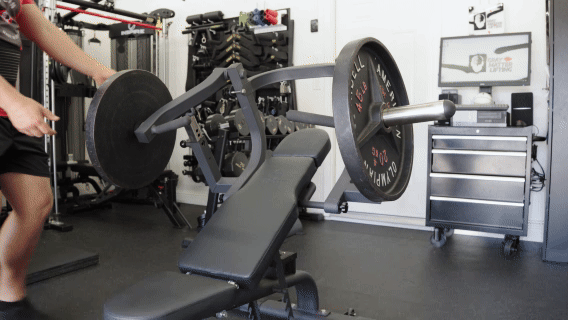 WideBodyBench Stability GIF