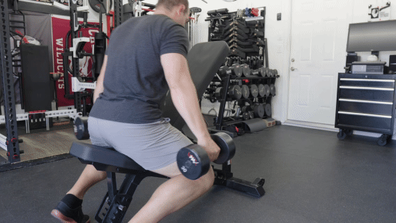 REPNighthawkBench FaceInBench