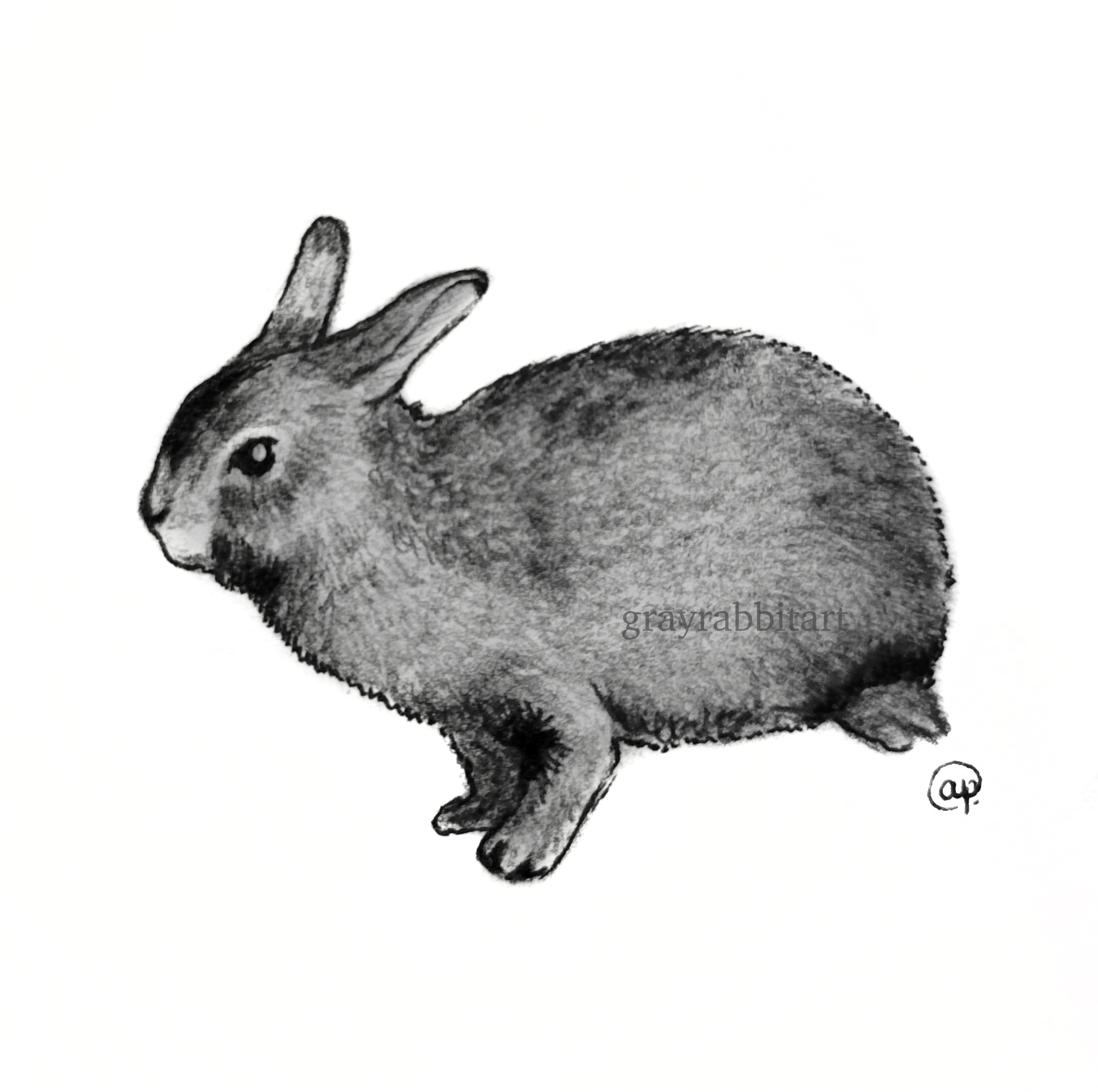 Grumpy Rabbit 5x5 Art Print