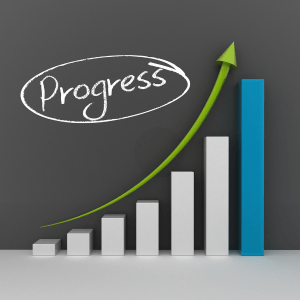 progress bars - shows going from beginner to advanced genealogy research skills