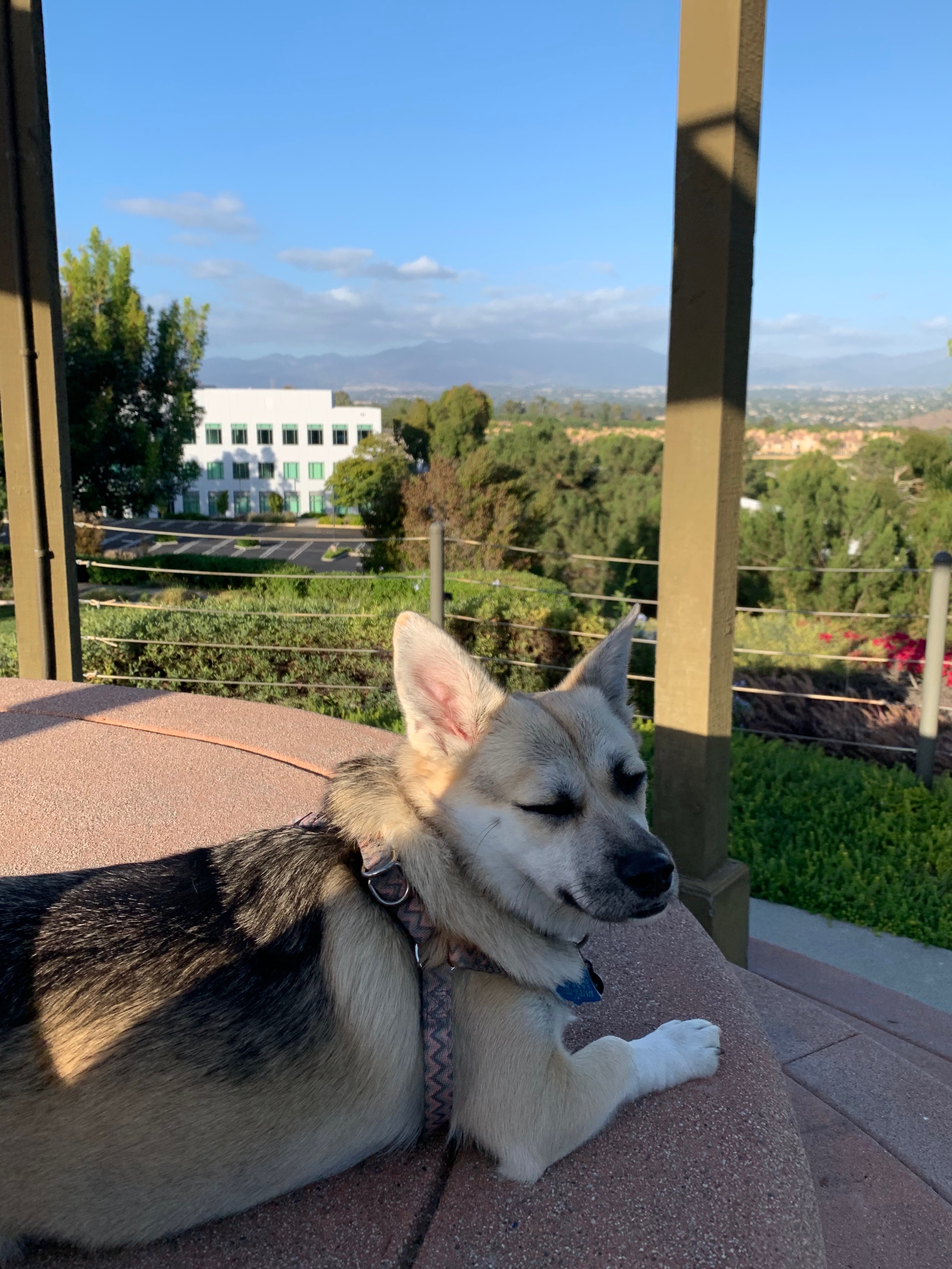 Picnic by the house with my mom.