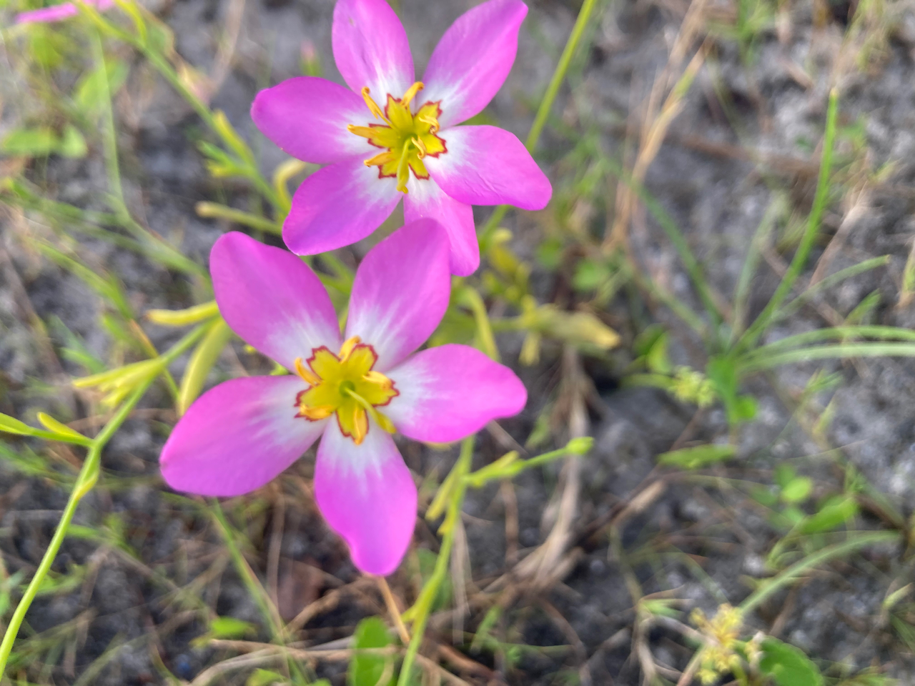 How we found the best island in the Florida Panhandle Great Florida