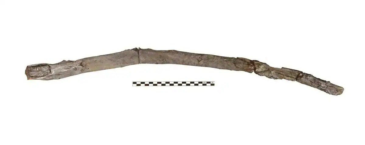 Discovering the Oldest Wooden Tools: 430,000-Year-Old Finds in Greece (2026)