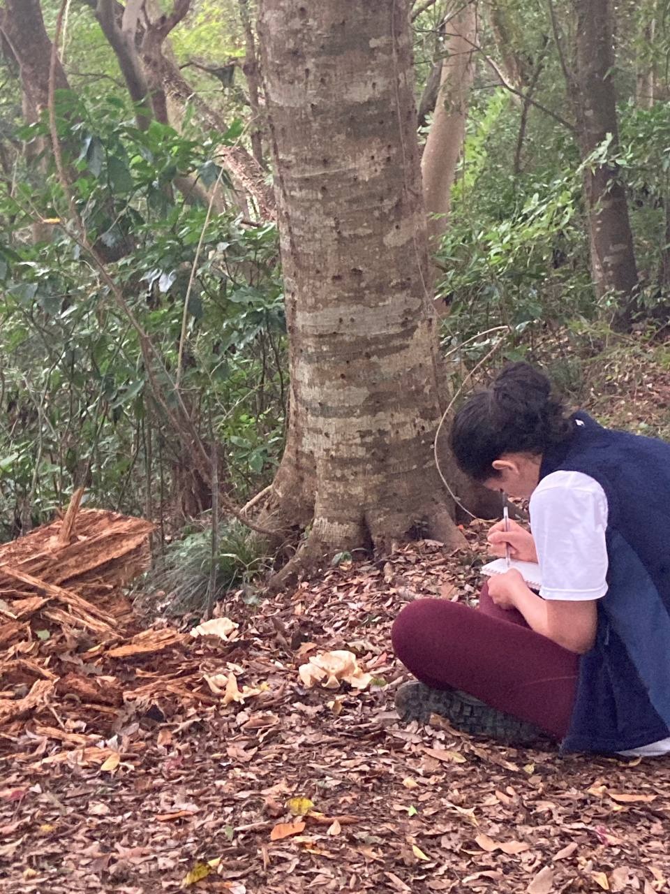 the mushroom that taught me systms thinking
