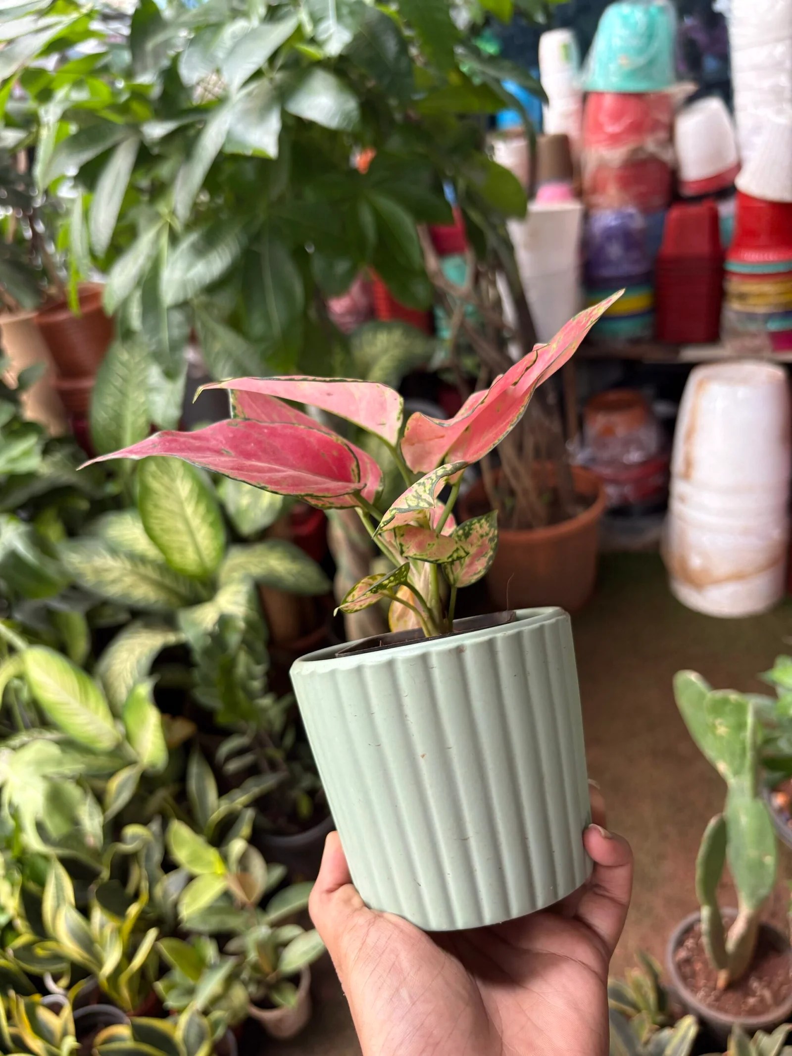Fancy Green ceramic pot