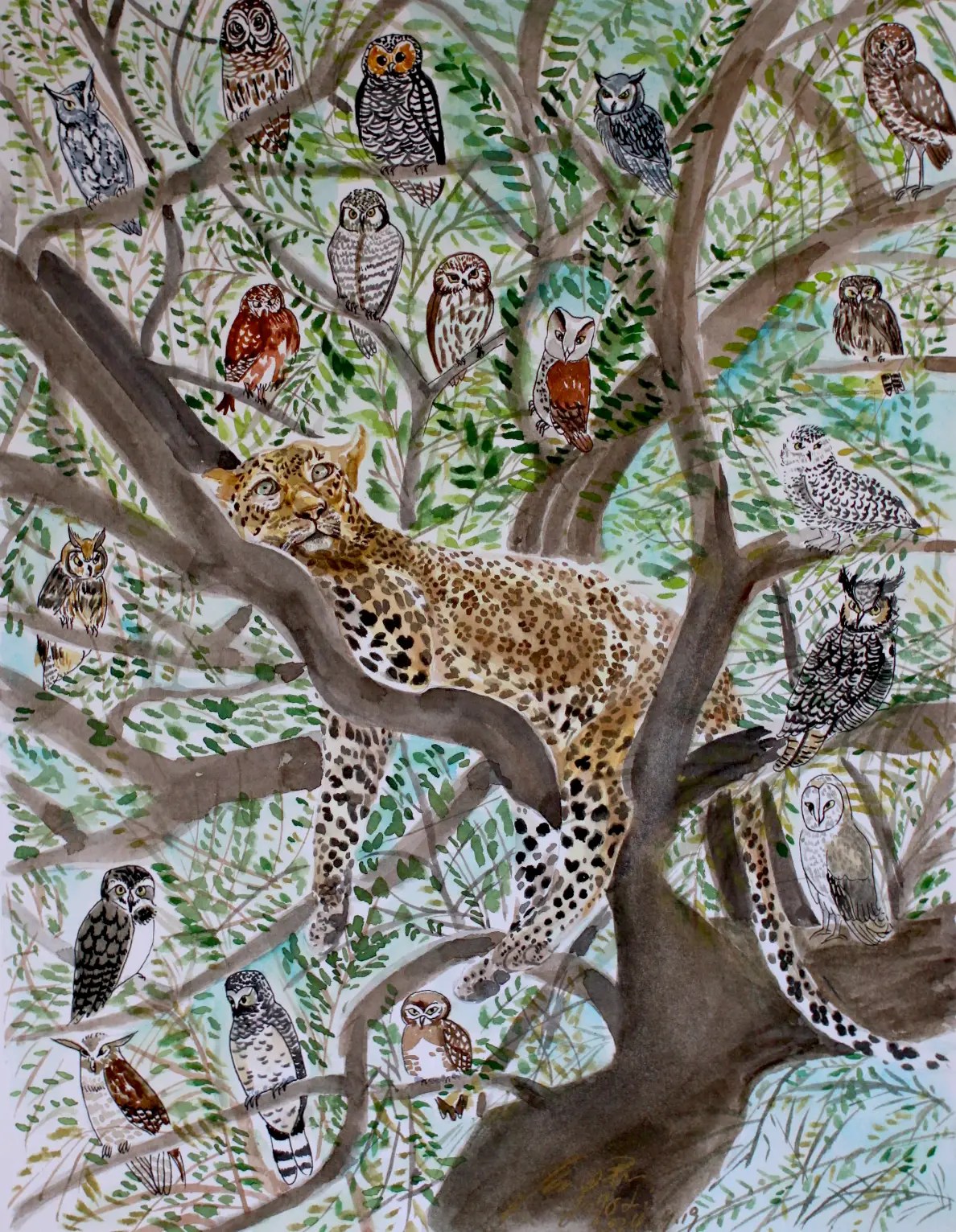 Owls & Leopard ©Jojo Li - watercolor