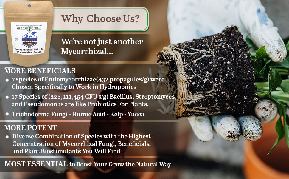 KELP4LESS Hydroponic Root Inoculant – Mycorrhizal Fungi & Trichoderma With Beneficial Bacteria, 4 Oz