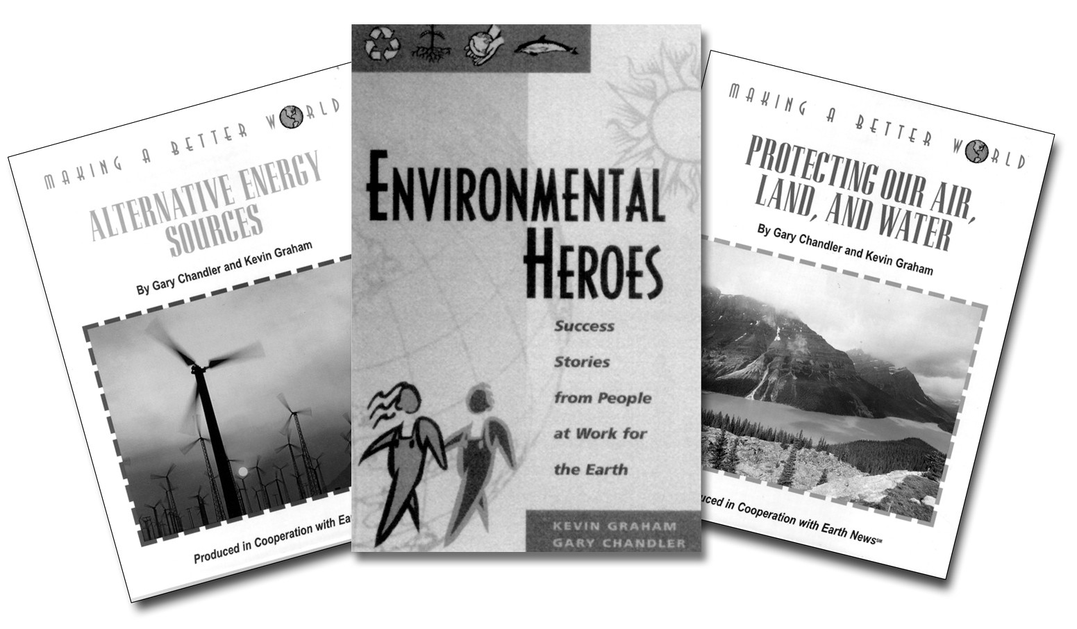 sustainability consultants
