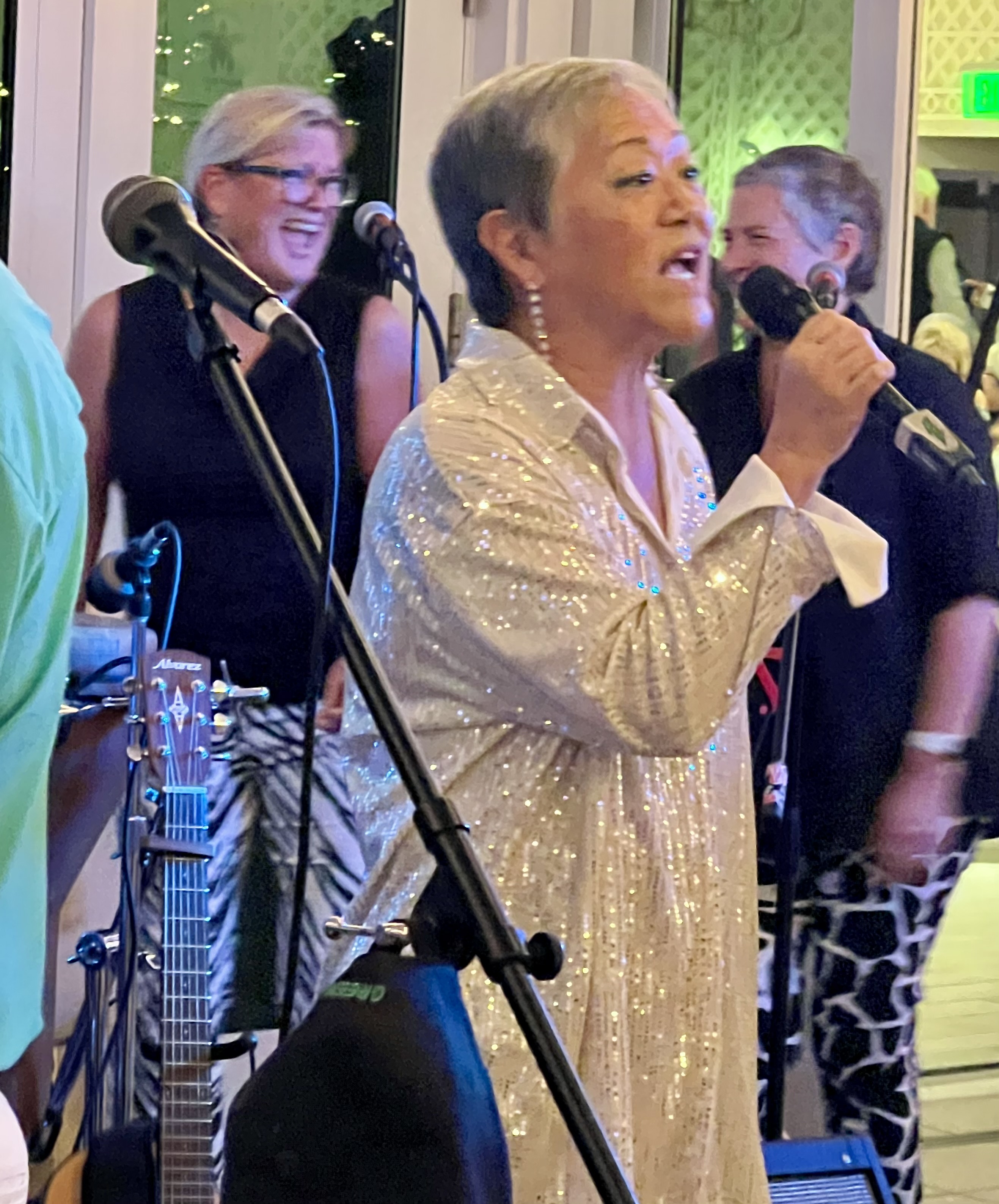 Lead singer of Green Flash cover band performing live, Vocalist performing live with Green Flash rock cover band