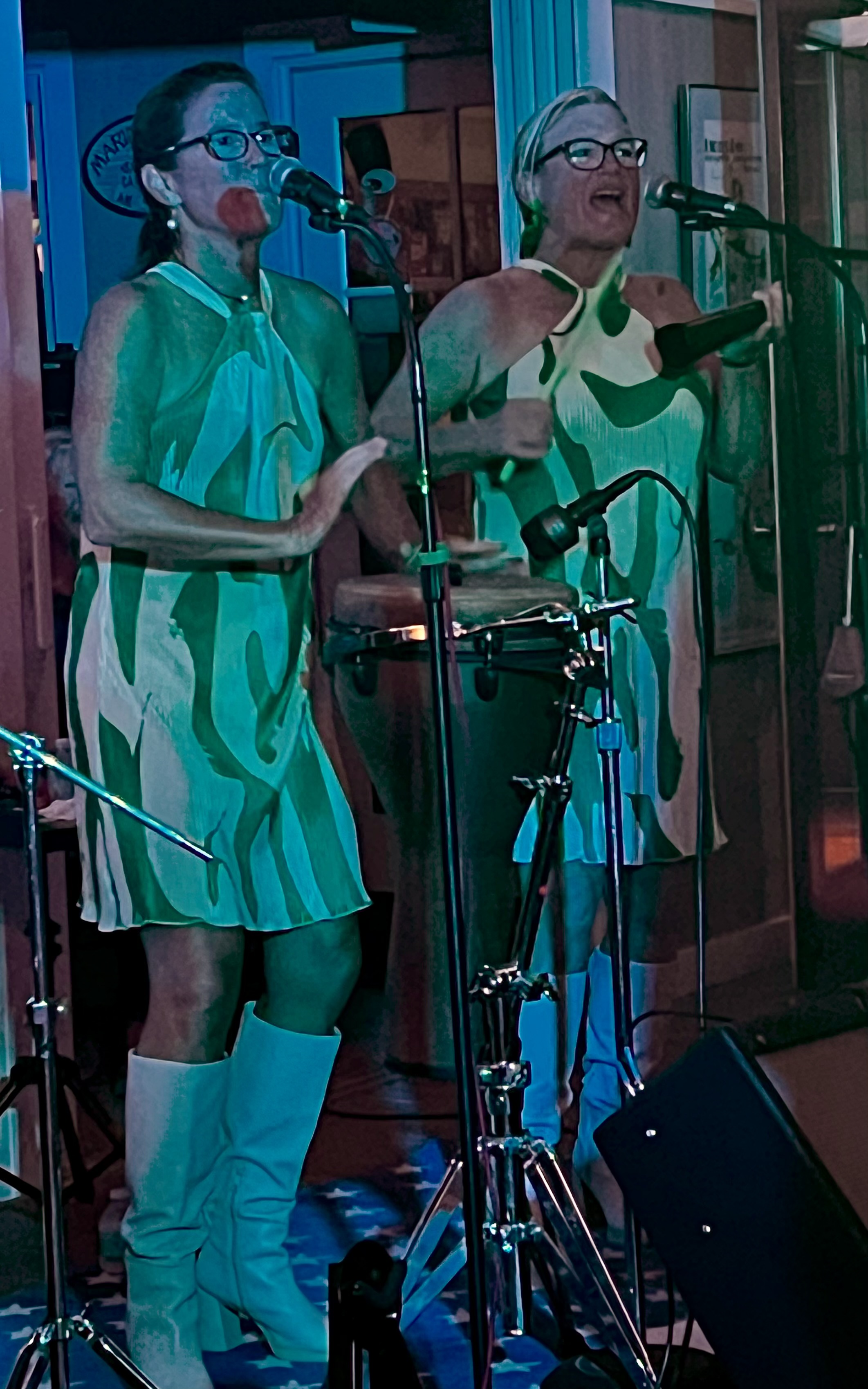  The Ettes bring sparkle, sass, and soul to the mix, Vocalist performing live with Green Flash rock cover band