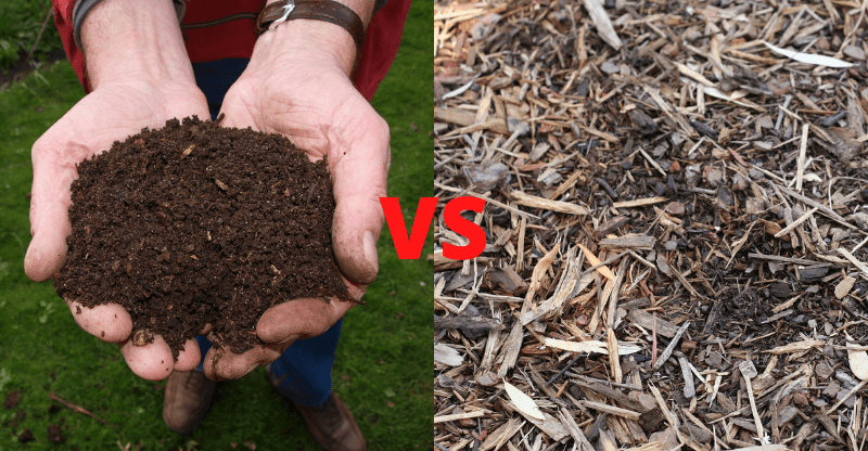 Compost vs. topsoil: which is better to use?