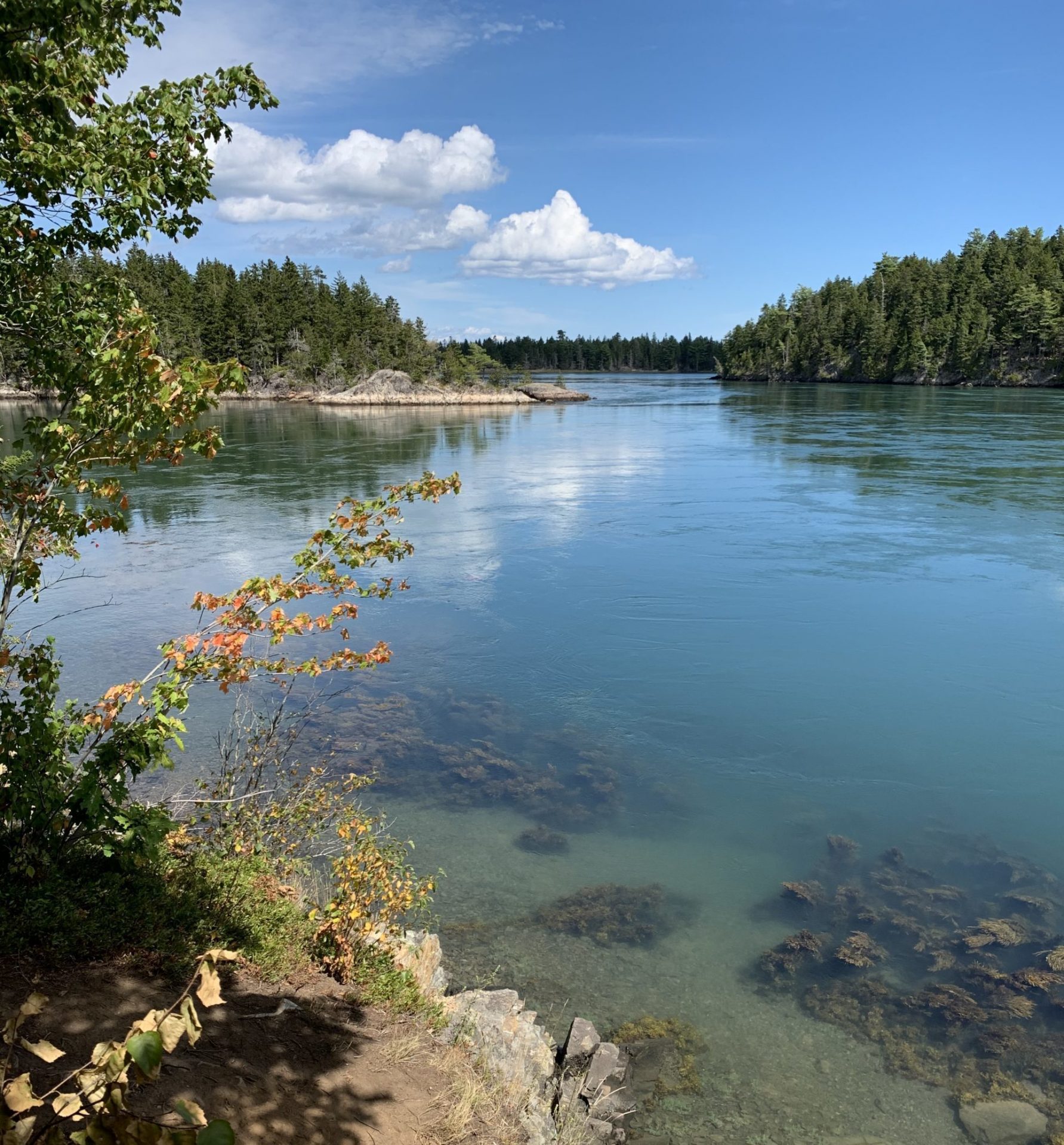 Cobscook Bay Pembroke Maine