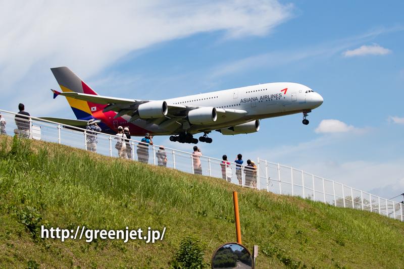 アシアナ航空のエアバスA380＠さくらの山 | MGT Greenjet 飛行機撮影記