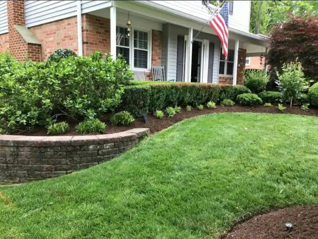 Spring Yard Cleanup in Minnesota: What to Do After Snow Melts