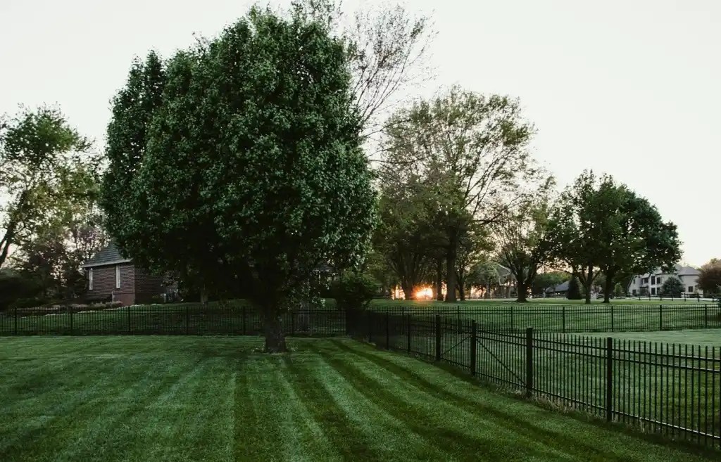Fall Lawn Care Checklist for Minnesota Homeowners