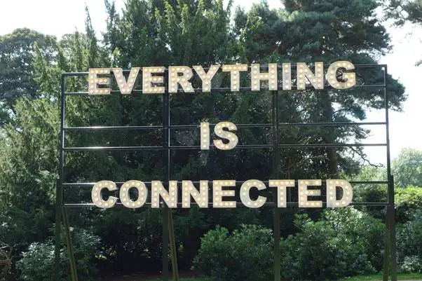 everything is connected