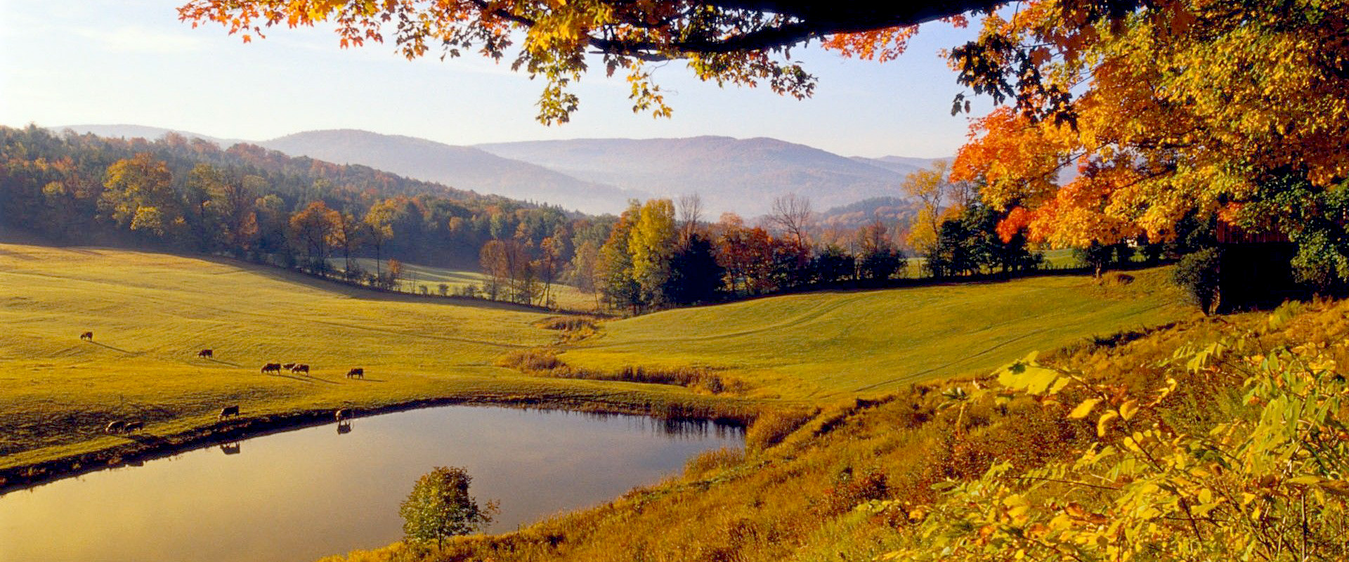 Green mountain payments