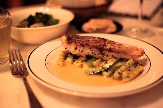 Striped_Bass_fanfare_greenpoint_rosie_de_b