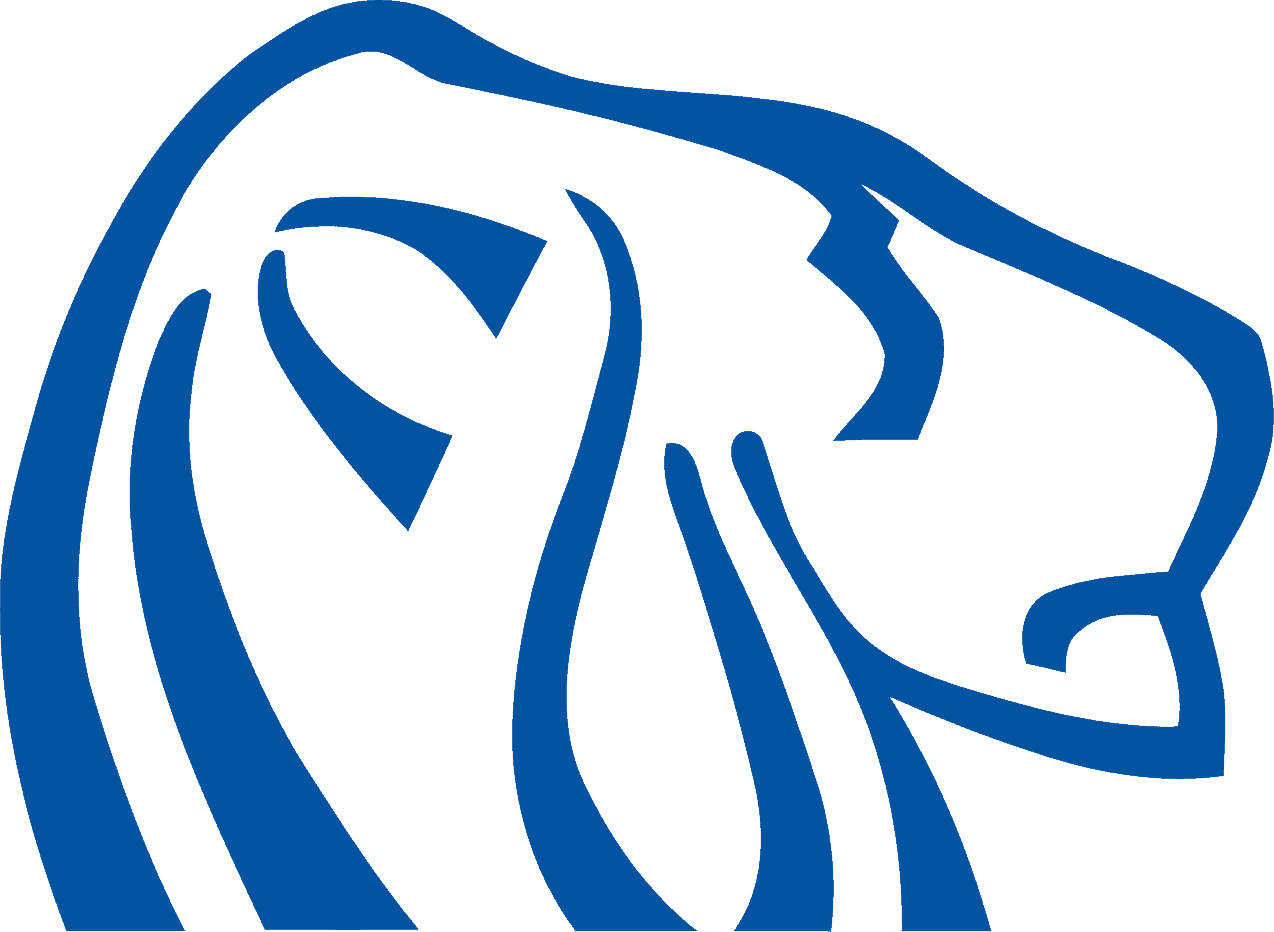 Northern Dynasty Minerals logo