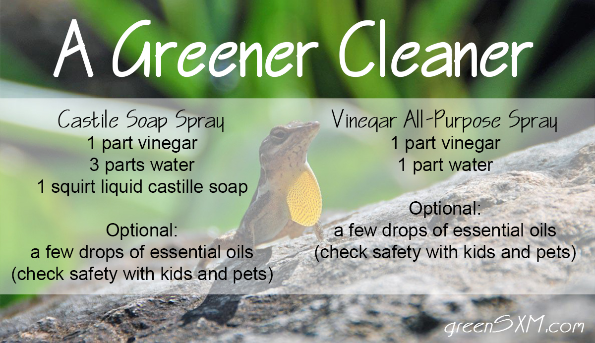 A Greener Cleaner Vinegar and Castile Soap Spray Green SXM
