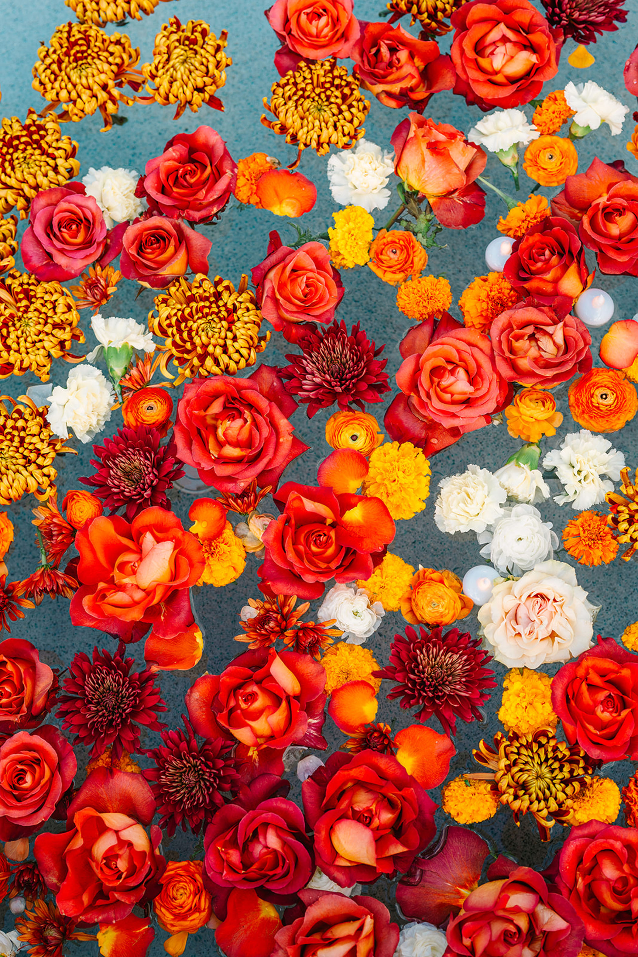 closeup photo of flowers in pool