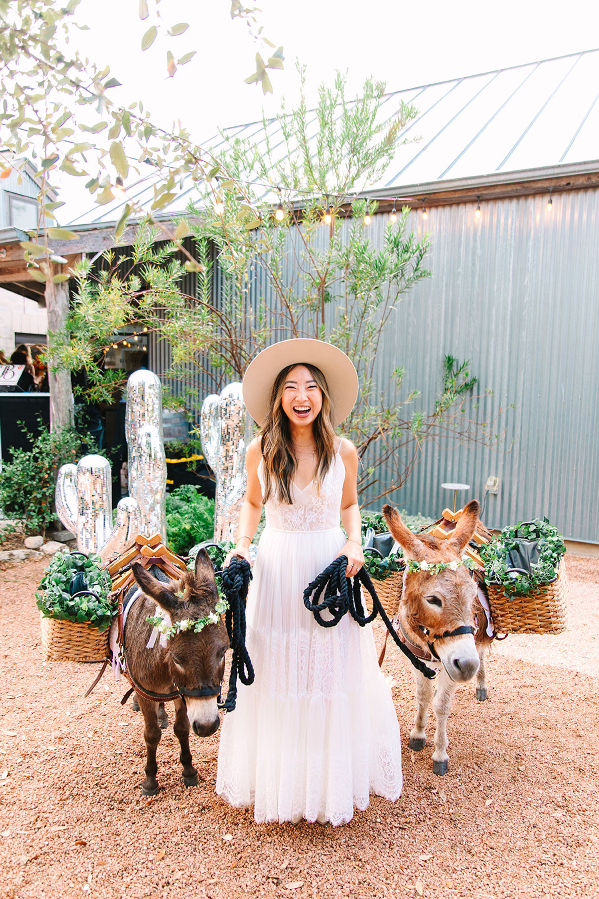 bride with two donkeys