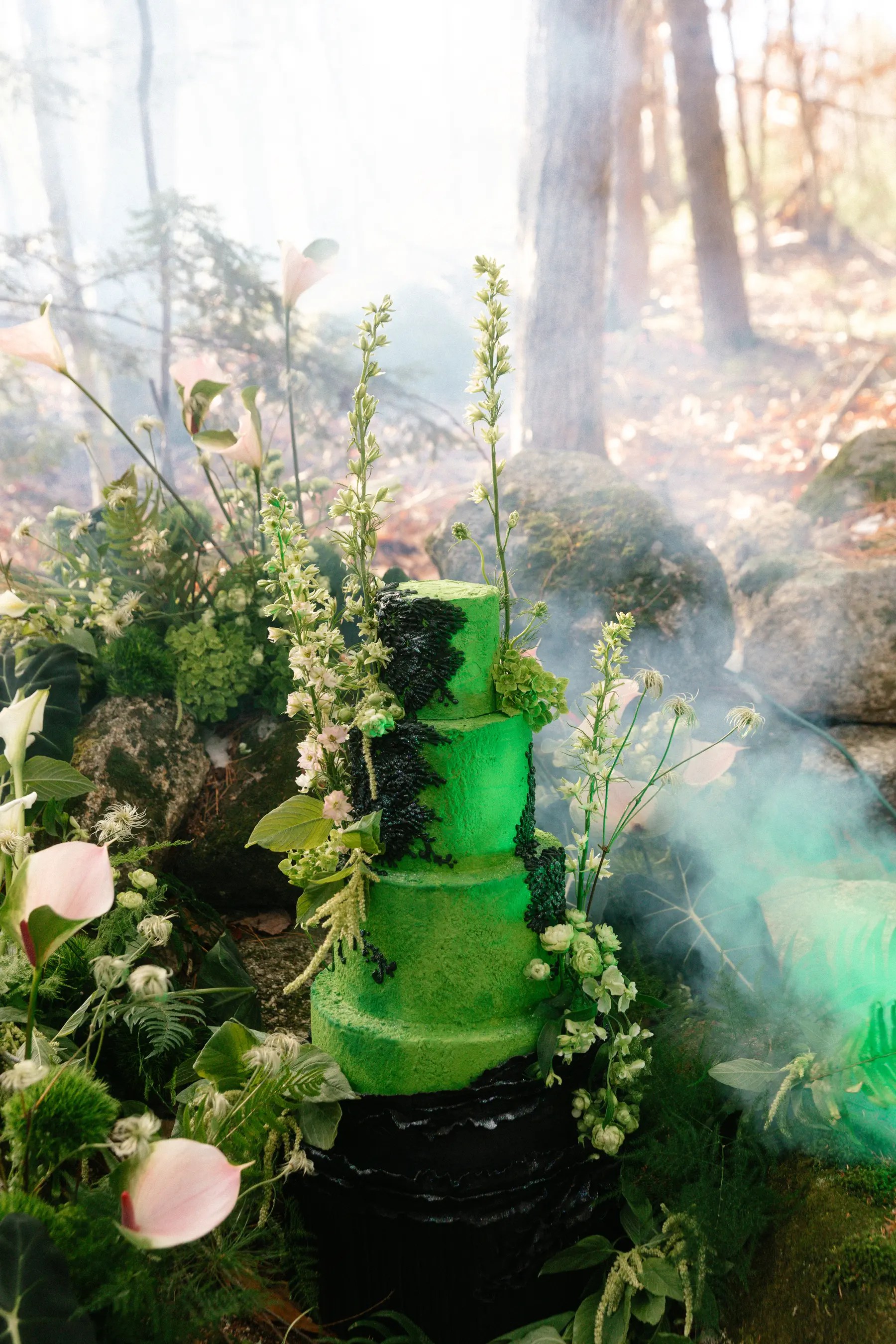 Elphaba-inspired cake