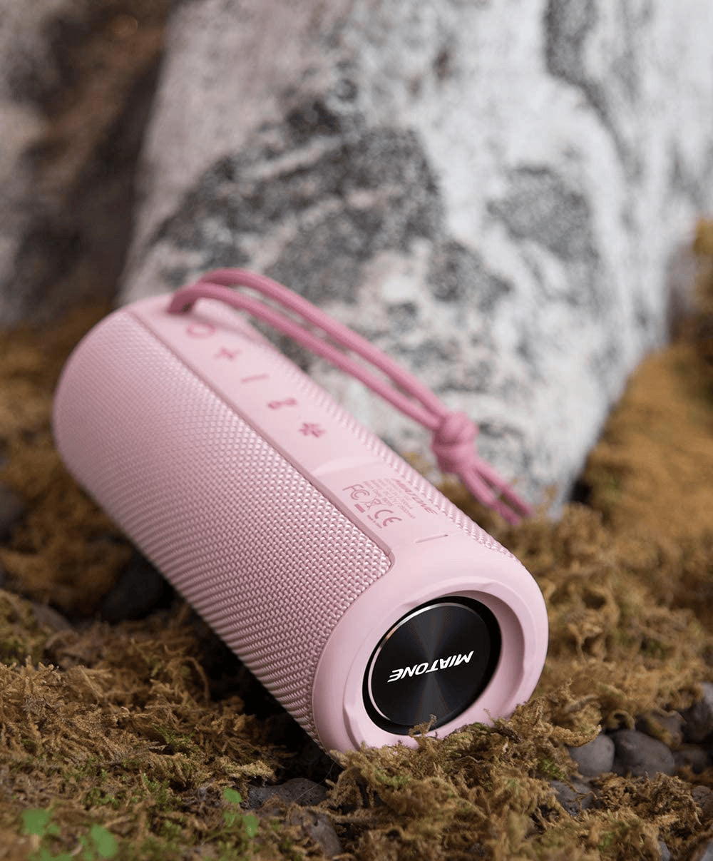 portable speaker christmas gift idea