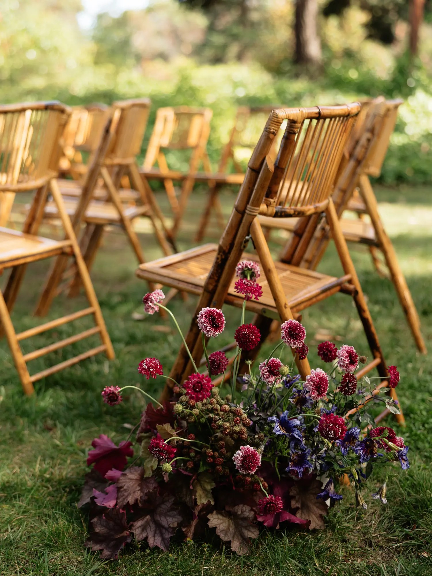 Ground-level ceremony aisle florals of crimson scabiosa, purple clematis, dark heuchera leaves, and unripe blackberries beside bamboo folding chairs