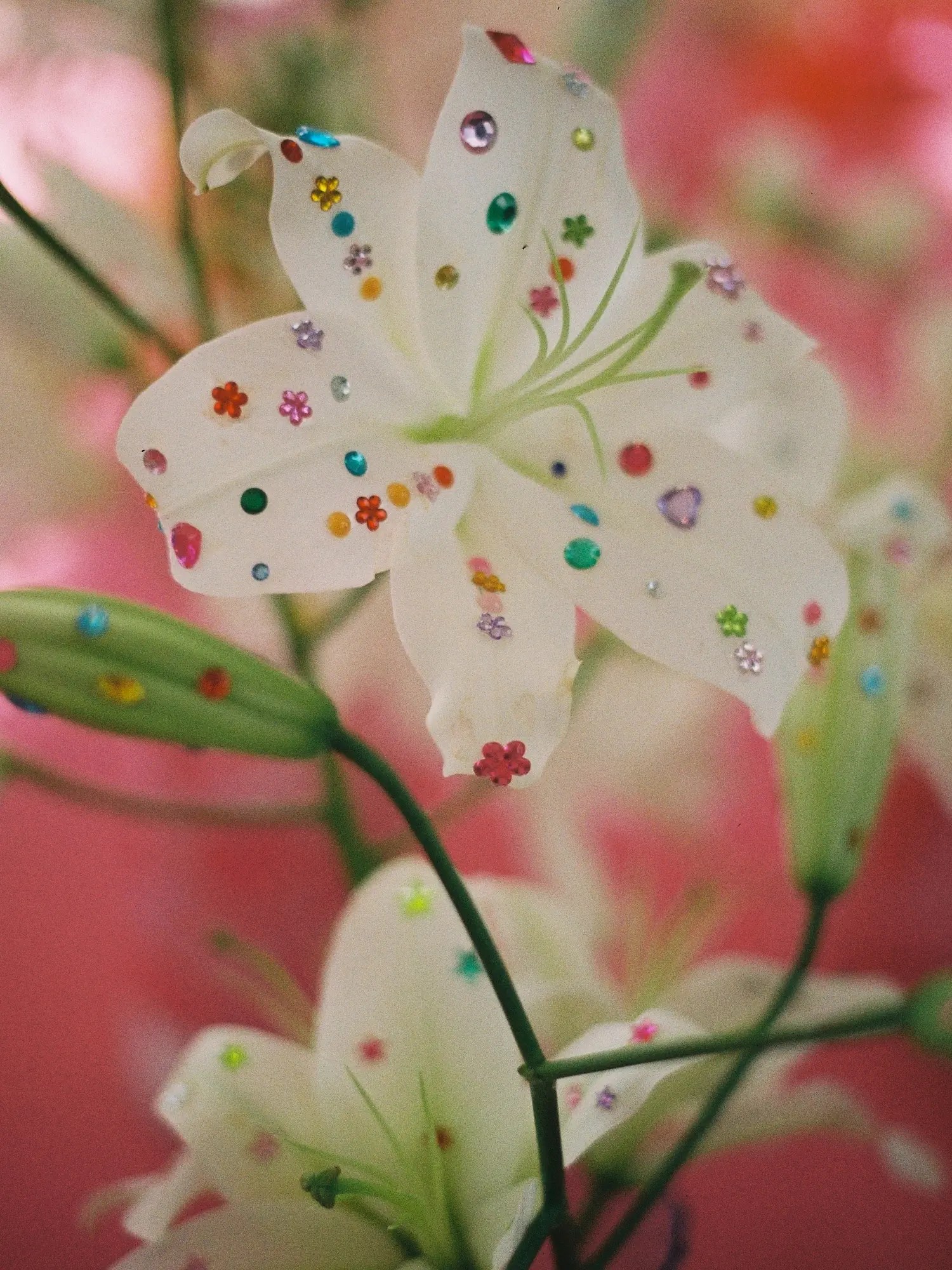 Close-up of a white lily with colorful rhinestone and glitter stickers on its petals
