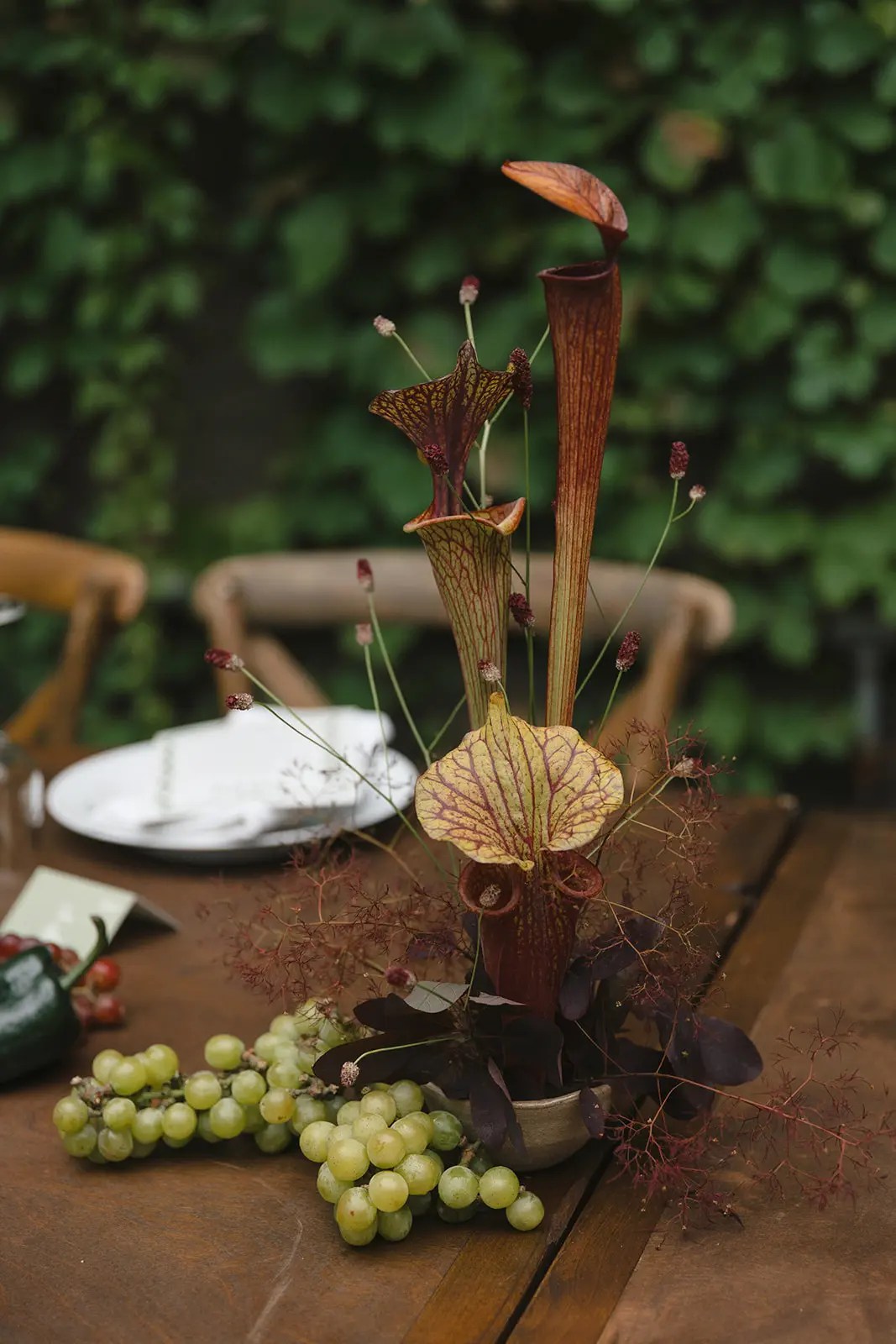 Pièce maîtresse de mariage sculpturale de sarracénies bordeaux avec des raisins vert pâle sur une table de réception en bois sombre