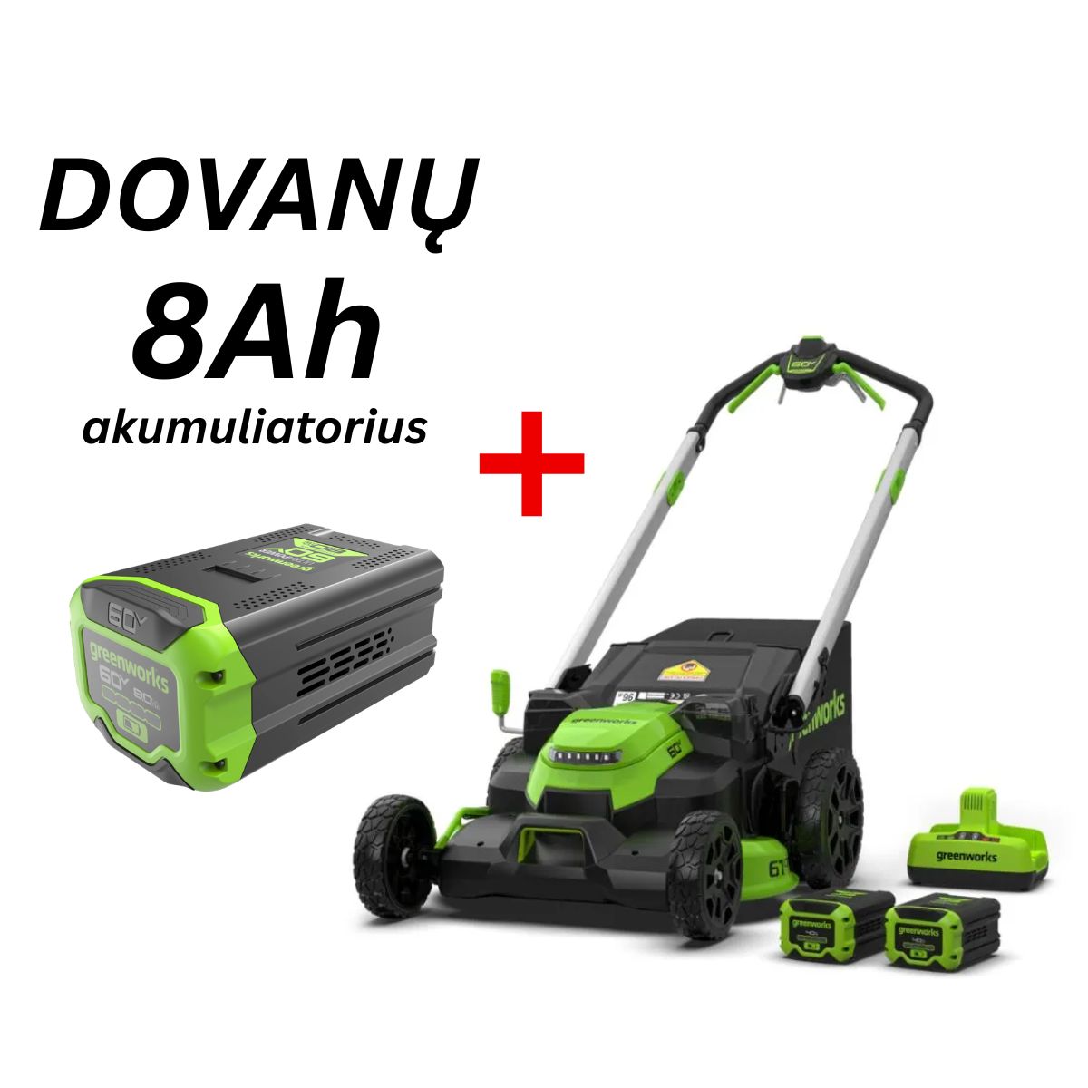 GREENWORKS VEJAPJOVĖS