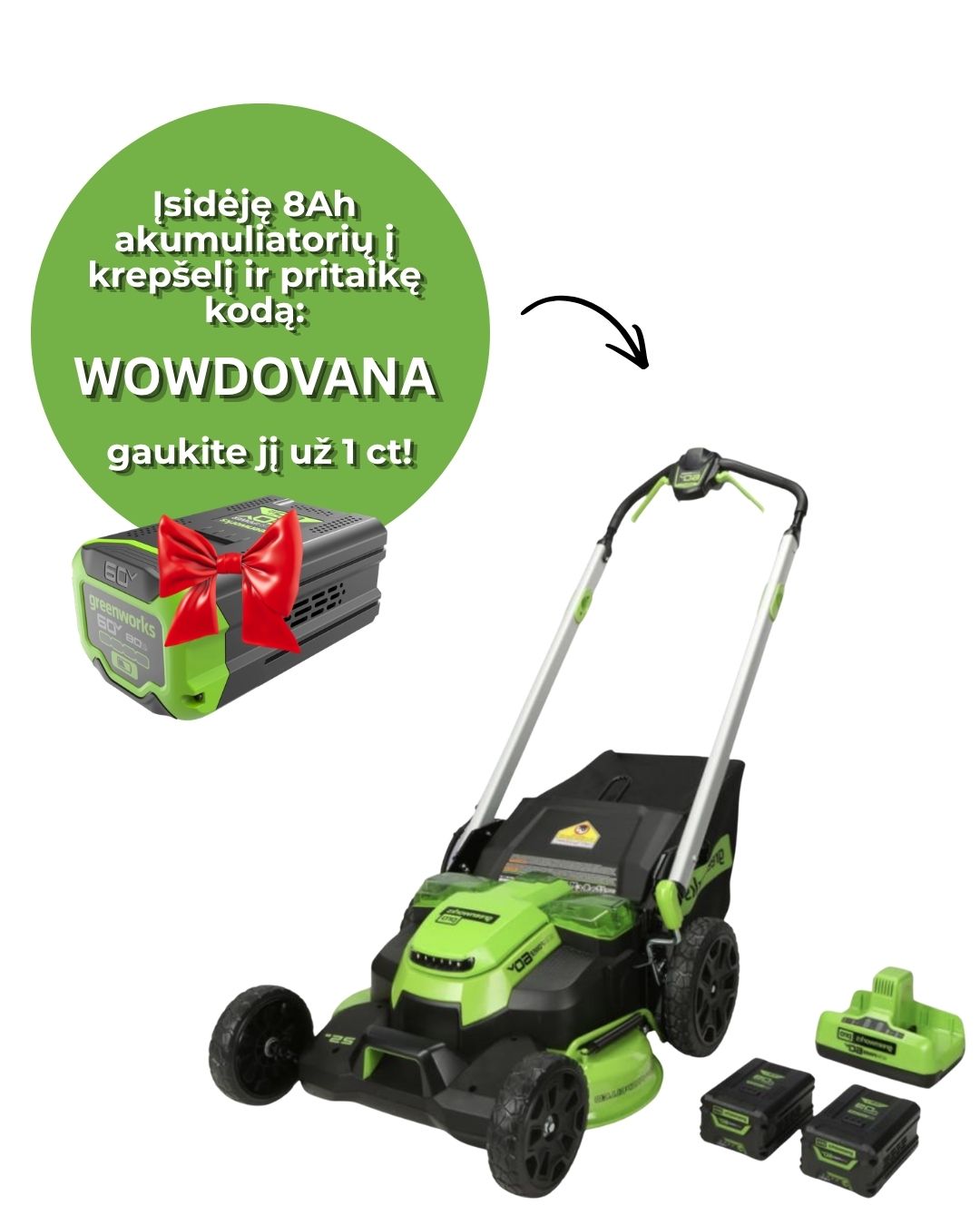 GREENWORKS VEJAPJOVĖS